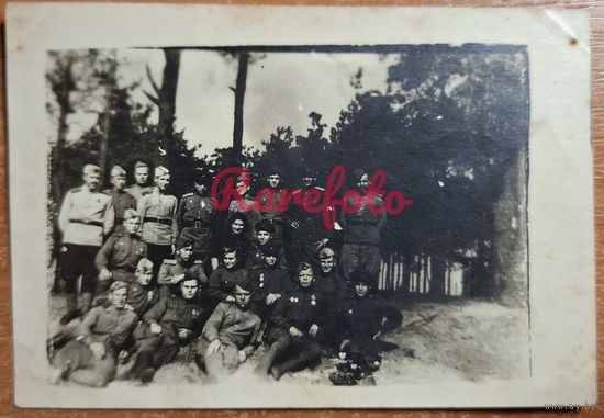 Боевые товарищи с наградами ретро фото