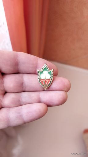 Знак. 5 ый Всесоюзный слёт молодых хлопкоробов