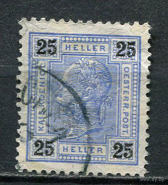 Австро-Венгрия - 1901/1903 - Император Франц Иосиф - 25H - [Mi.91] - 1 марка. Гашеная.  (Лот 30EL)-T2P8