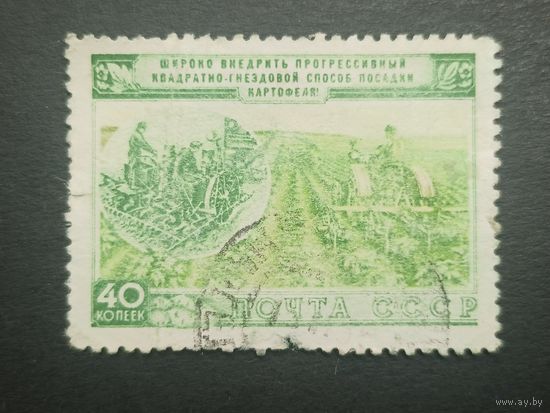 1954 СССР. Развитие сельского хозяйства в СССР. Посадка картофеля