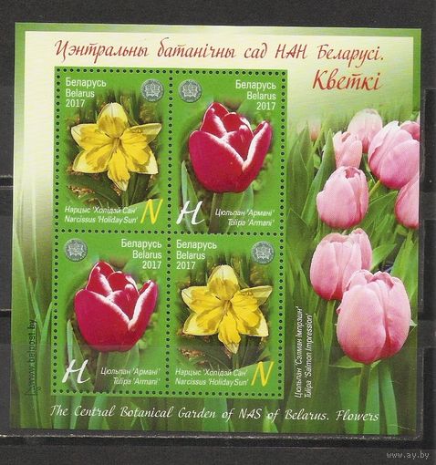 ФФ1 Беларусь 2017 Цветы