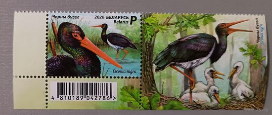 Черный аист. Серия из 1 марки с купоном, 2026