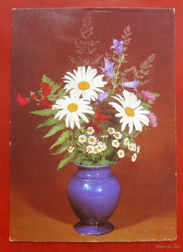 Композиция из цветов. Чистая. 1980 года. Круцко. 1882.