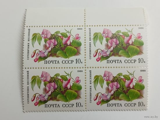 1988 СССР. Лесные цветы. Сочевичник весенний. Квартблок