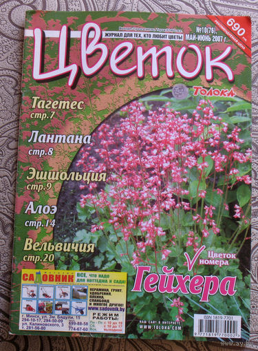 Цветок номер 10 2007, 13 2007