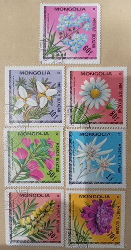 Монголия 1979. Флора. Цветы. Полная серия