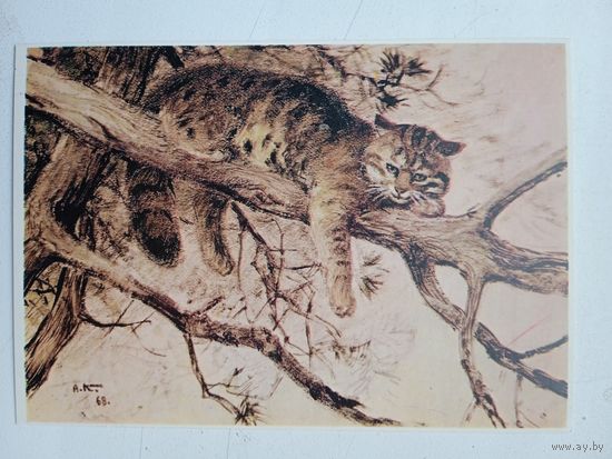Комаров. Лесной дикий кот