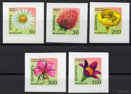Беларусь 2002. Стандарт 6-й выпуск. Флора 5 марок  (245)