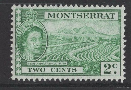Монтсеррат 1964 ** марка из серии (SG 157)