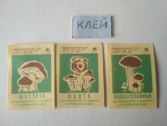Спичечные этикетки ф.Туринск. Потребительская кооперация. 1968 год