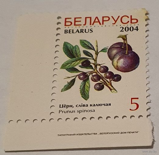 Ягоды 2004