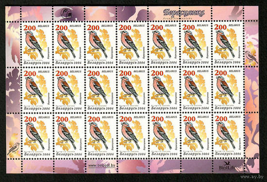 Беларусь. 2006. Стандарт. Зяблик (200р)  мелованная бумага, без заказа лист 7х3