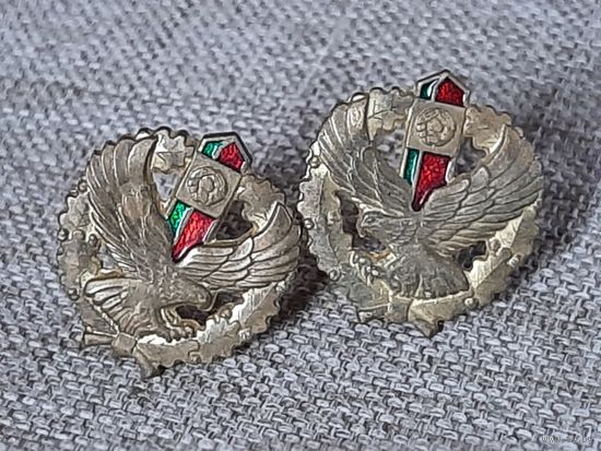 Эмблемы парные  в петлицы погранвойск РБ, латунь