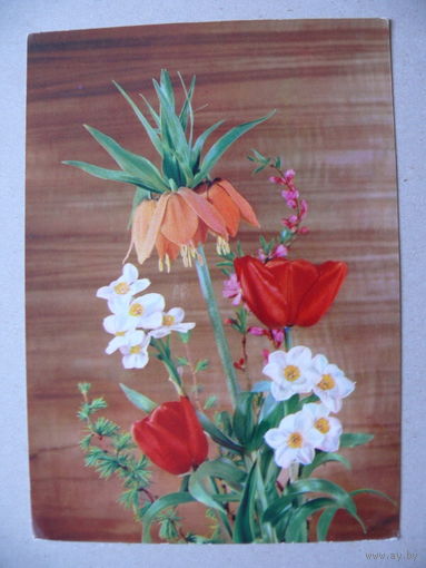 Открытка ГДР, Цветы (60), чистая.