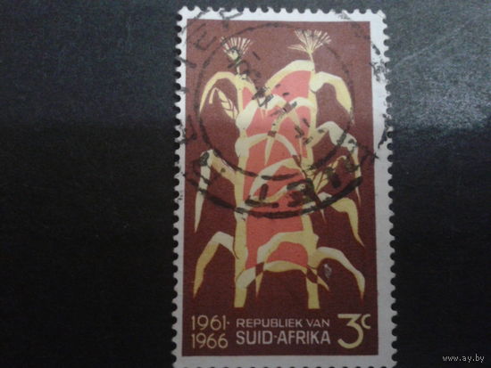 ЮАР 1966 маис