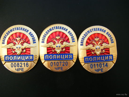 ВНЕВЕДОМСТВЕННАЯ ОХРАНА ПОЛИЦИЯ России ( Чеченская республика?).