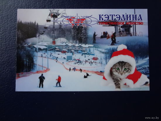 Календарик 2011 г. Кэтэлина. Котик.