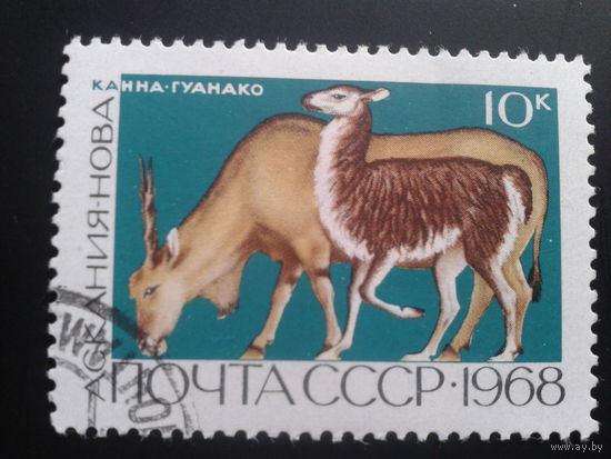 СССР 1968 фауна
