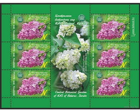 2015г Беларусь MNH  Малый лист "Сирень "Вера Хоружая"