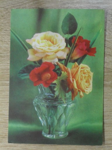 ПОДПИСАННАЯ ОТКРЫТКА СССР. БУКЕТ ЦВЕТОВ В ВАЗЕ. фото. К. КОСТЕНКО. 1974 год.