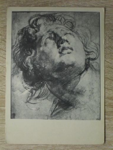 ЧИСТАЯ ОТКРЫТКА СССР. "ГОЛОВА ЮНОШИ" худ. АНТОНИО ВАН-ДЕЙК. 1957 год.