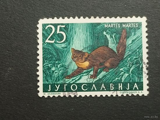 Югославия 1960. Местная фауна – млекопитающие