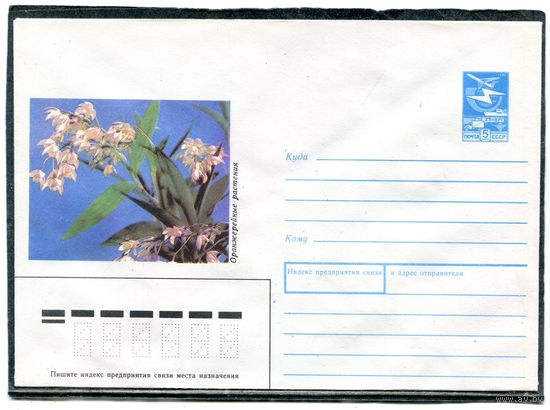 СССР 1988. ХМК. Конверт. Цветы. Дендробиум изысканный