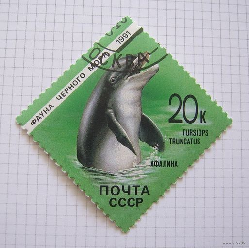 СССP 1991г.