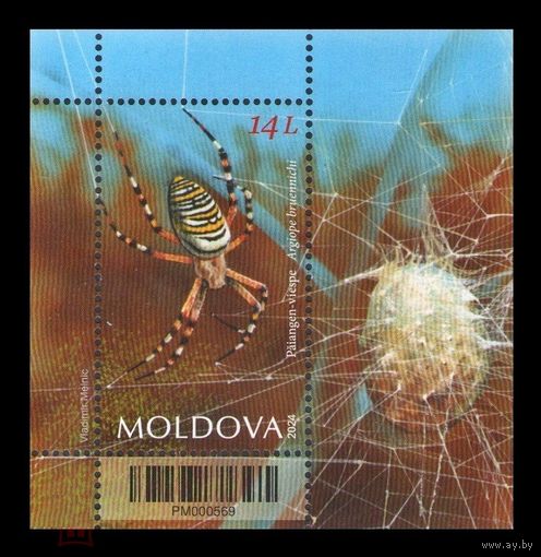 Молдова Moldova 2024, (905) Фауна. Насекомые. Паук. Fauna. Spider, блок **