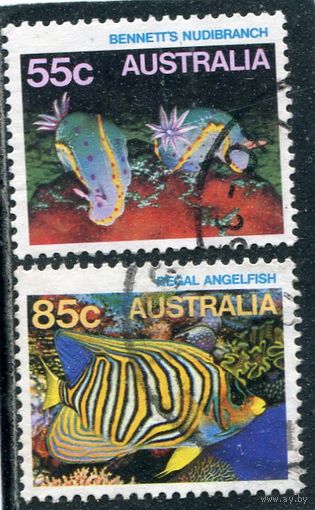 Австралия. Морская фауна