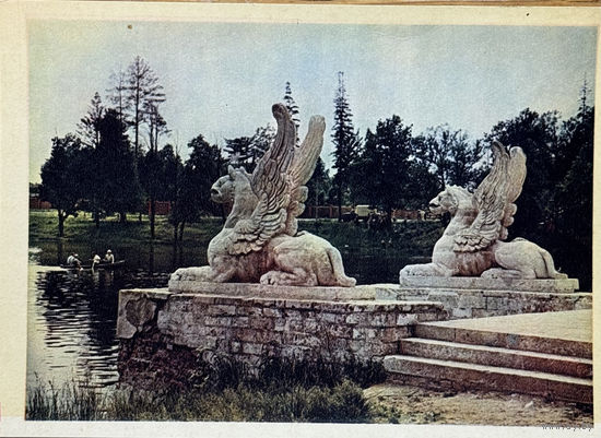 Открытка 1956  издательство Правда Марфино Грифоны на пристани фото Умнова и Фридлянда тир. 150 000