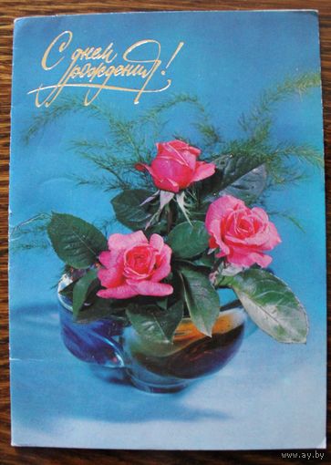 С Днем рождения! Фото Л. Круцко. Двойная, подписана. 1984 год