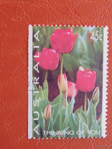 Австралия. Флора 1994г.