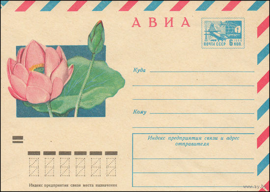 Художественный маркированный конверт СССР N 9206 (20.09.1973) АВИА  [Лотос орехоносный]