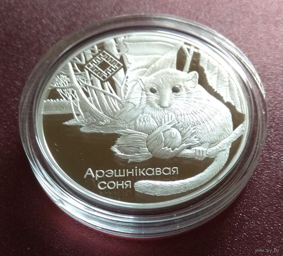 Заказник "Свитязянский". Орешниковая соня. 20 рублей