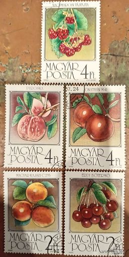 Венгрия 1986. Флора. Фрукты ягоды. Полная серия