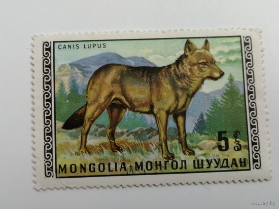 Монголия 1970. Дикие животные