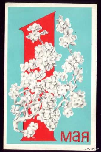 1971 год Л.Исаева 1 мая