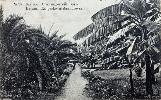 Открытка Грузия Батуми Батум Александровский парк до 1917