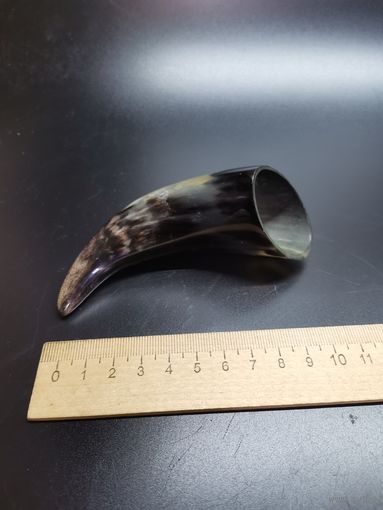 Рог.    Сувенир