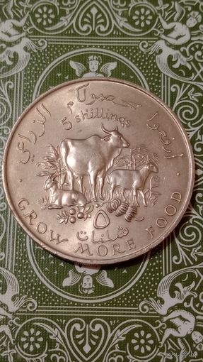 Сомали 5 шиллингов 1970 ФАО