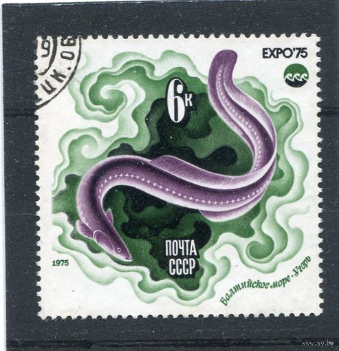 СССР 1975.. Экспо-75. Фауна моря. Угорь