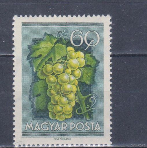 [451] Венгрия 1954. Флора.Плоды.Ягоды.Фрукты.Виноград на почтовых марках. MNH