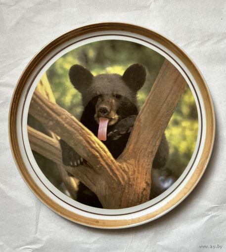 Настенное панно, тарелка декоративная,блюдо "Медведь" 310 мм. ДФЗ