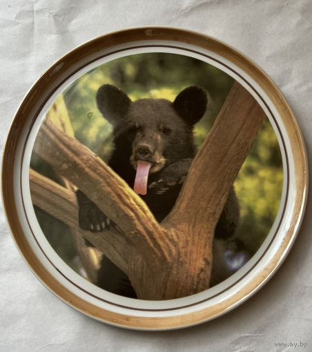 РЕДКОЕ! Настенное панно, тарелка декоративная,блюдо "Медведь" 310 мм. ДФЗ