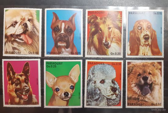 Парагвай. Фауна. Собаки (823)