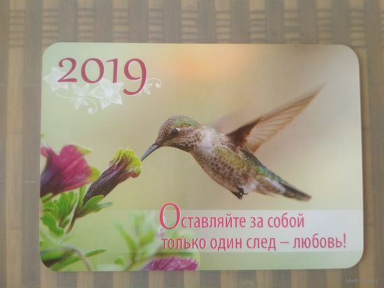 Карманный календарик  Птицы. 2019 год