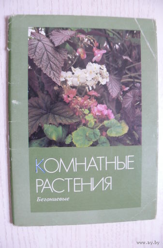 Комплект, Комнатные растения. Бегоневые, выпуск 3; 1987 (16 шт., 10*15).