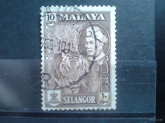 Селангор, колония Англии, 1957. Стандарт. Султан и тигр