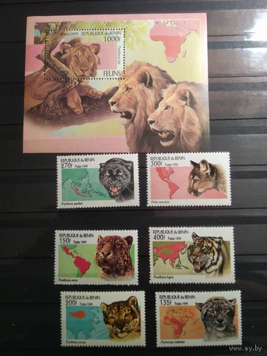 Бенин 1999 г. Дикие кошки.